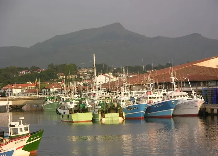 à Saint-jean-de-luz, Centre, à Pied, 3 étoiles, 2 Pièces - Fr-1-792-30